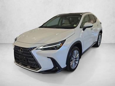 2025 Lexus NX