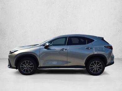 2025 Lexus NX