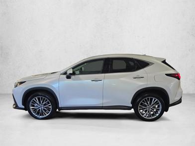 2025 Lexus NX