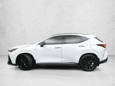 2024 Lexus NX