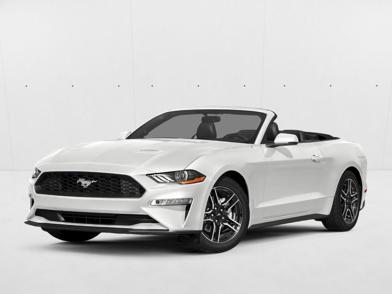 2019 Ford Mustang  -
                  Miami Lakes, FL