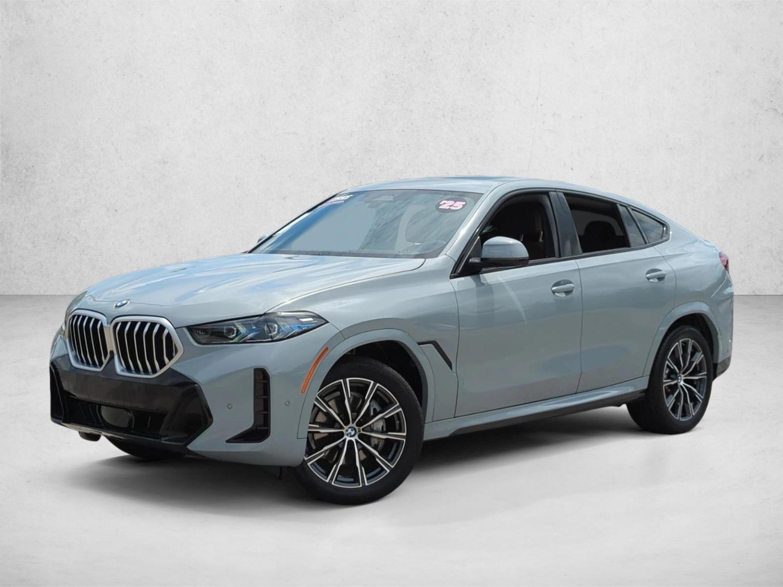 2025 BMW X6