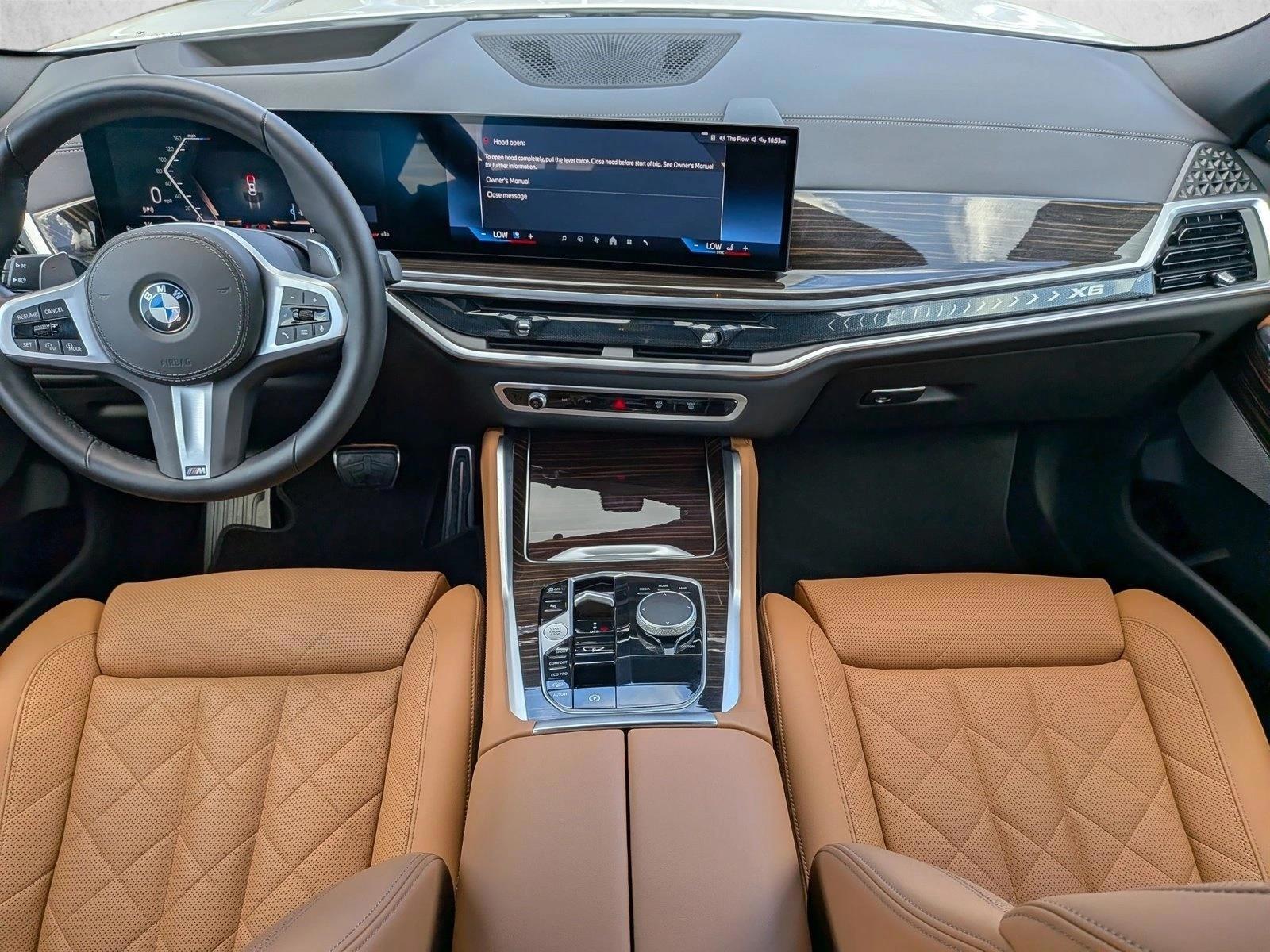 Thumbnail: 2025 BMW X6 - 4