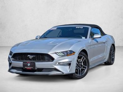 2019 Ford Mustang  -
                  Santa Clara, CA