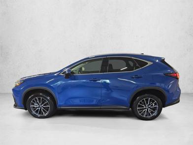 2025 Lexus NX