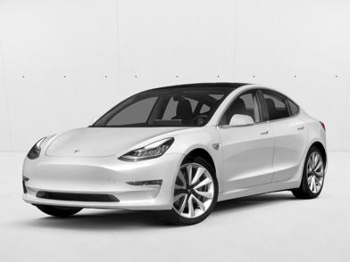 2019 Tesla Model 3 Standard Range -
                  St. Petersburg, FL