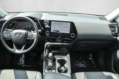 2025 Lexus NX